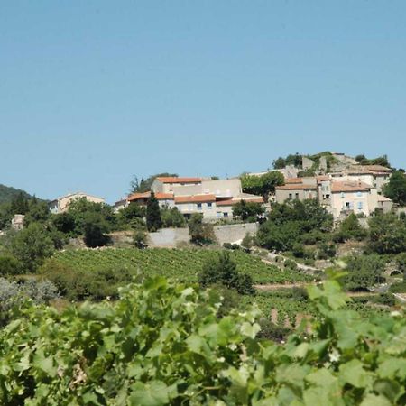 Vila Cecile Montgaillard  Exteriér fotografie